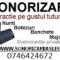 sonorizari iasi